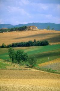 The drive from Florence to Siena on the 222 takes you through fabulous Chianti Country!