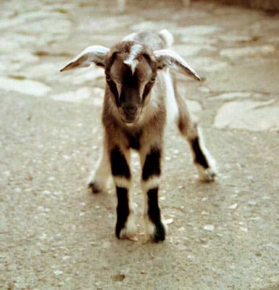 The locals are friendly!