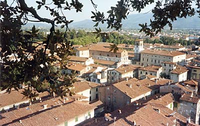 View from Torre Guinigi over Lucca