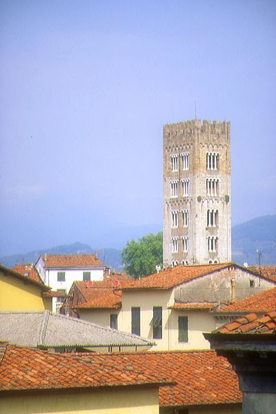 Luccan rooftops.